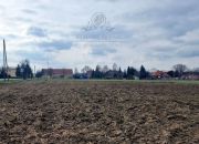 Działka siedliskowa 3000m2 z MPZP gm. Kąty Wrocławskie miniaturka 12