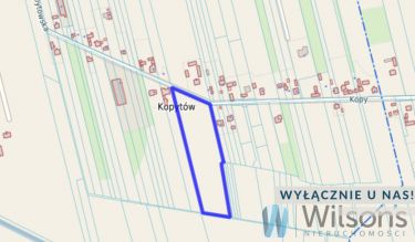 Kopytów, 2 400 000 zł, 1.67 ha, droga dojazdowa asfaltowa
