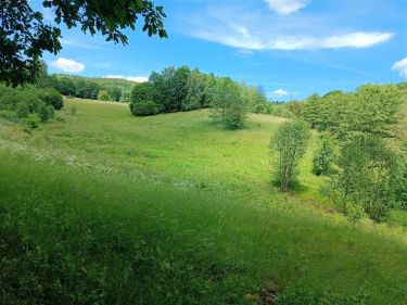 Olszyniec, 116 280 zł, 13.68 ar, droga dojazdowa asfaltowa