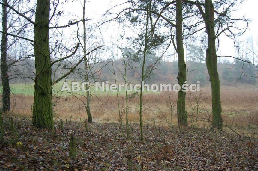 Górzna, 85 000 zł, 42 ar, przyłącze elektryczne miniaturka 3