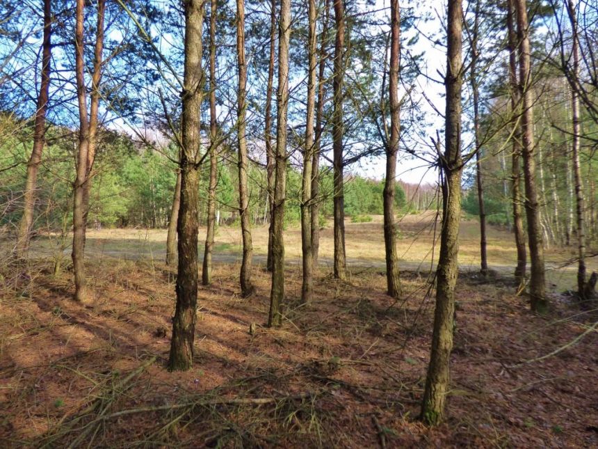 DZIAŁKA 3700 m² WÓLKA ŁEKAWSKA miniaturka 10