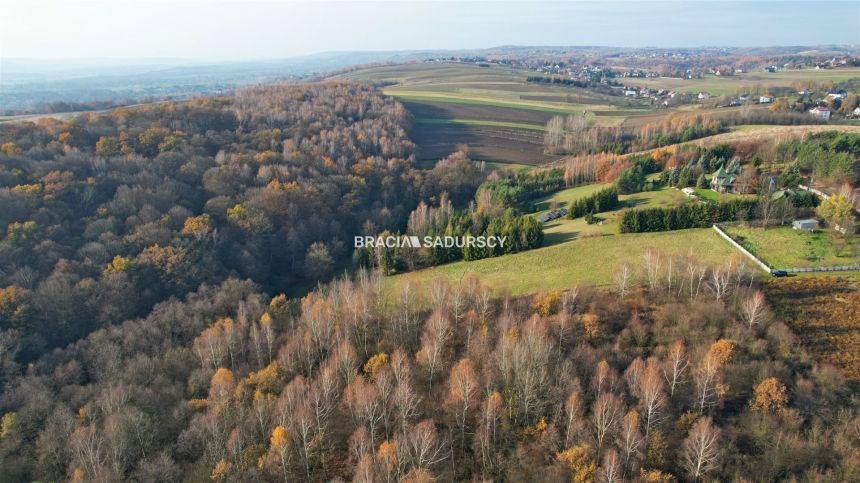 Działka rekreacyjna Szyce gm. Wielka Wieś miniaturka 9