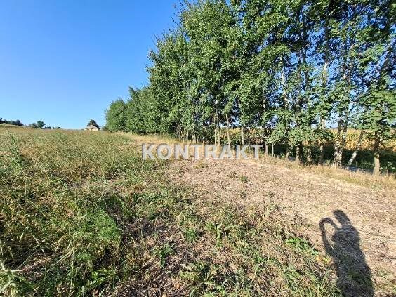 Trzy działki budowlane w Głębowicach. miniaturka 2