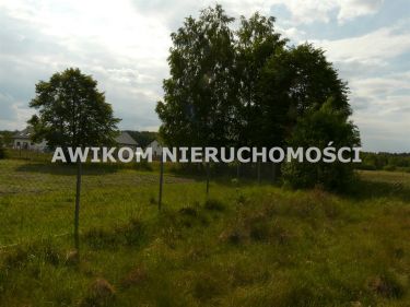 Franciszków, 220 000 zł, 30 ar, przyłącze elektryczne