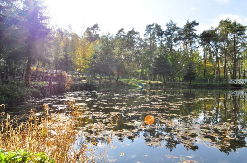 OBIEKT O PRZEZNACZENIU HOTELOWYM miniaturka 14