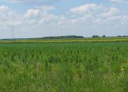 Wólka, 111 665 zł, 9.71 ar, budowlana miniaturka 4