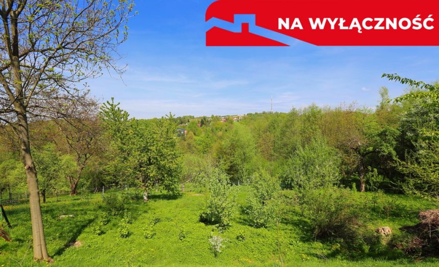 Działka rolno-budowlana z lasem miniaturka 7