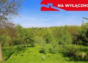 Działka rolno-budowlana z lasem miniaturka 7
