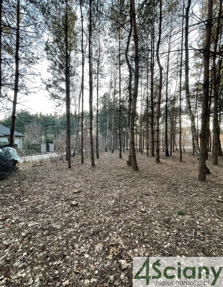 Musuły, 700 000 zł, 30 ar, prostokątna miniaturka 5