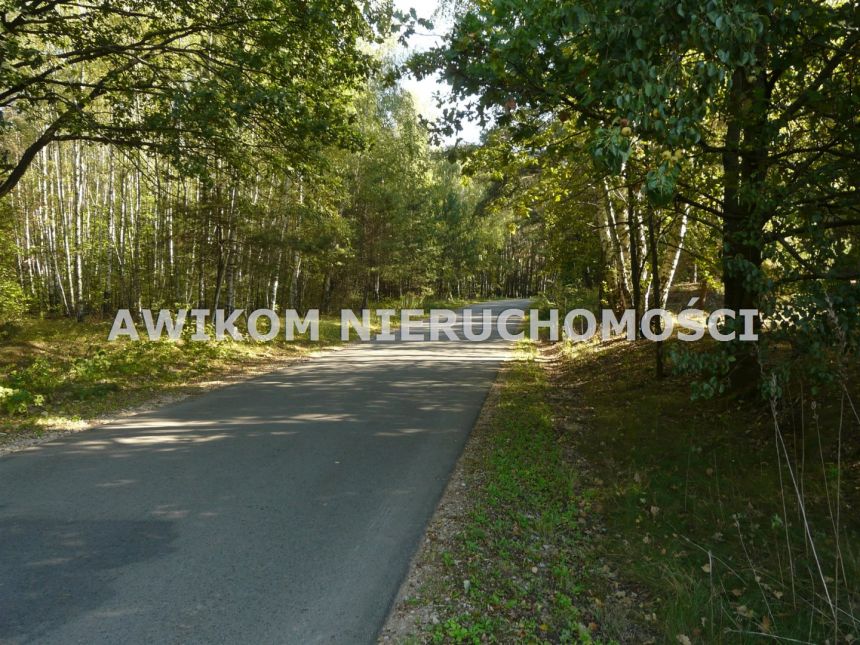 Przewodowice, 145 098 zł, 80.61 ar, rolna miniaturka 2