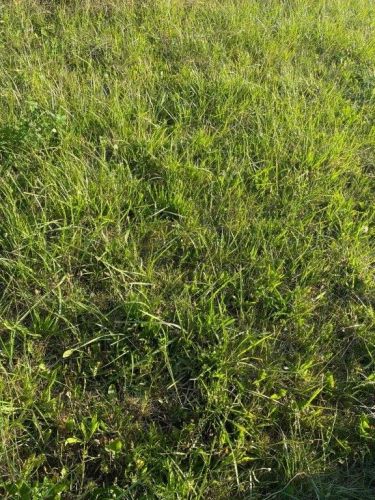 Poddąbie, 295 000 zł, 20 ar, przyłącze wodociągu