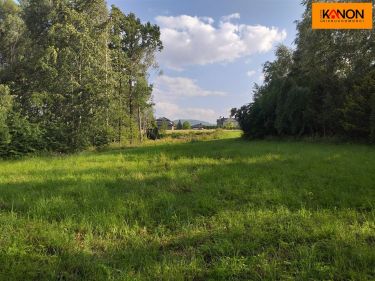 Pisarzowice, 399 000 zł, 94.67 ar, woda w drodze