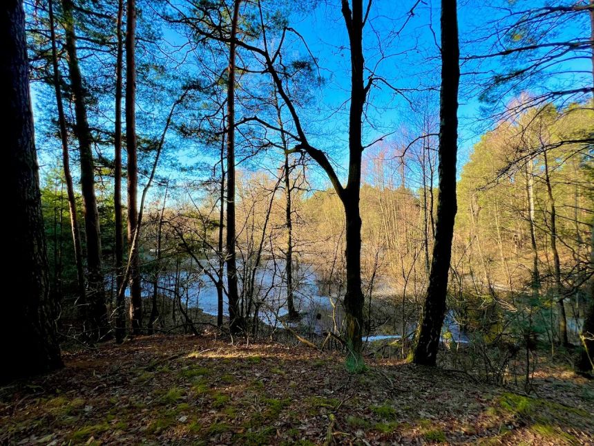 Działka leśna nad Pilicą-Ostrów gm. Aleksandrów miniaturka 12