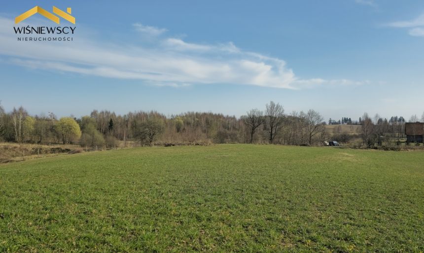 Działka 3333m², z pozwoleniem na budowę, Ogrodniki - zdjęcie 1