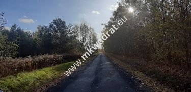 Atrakcyjna działka budowlana w Szczęsnym
