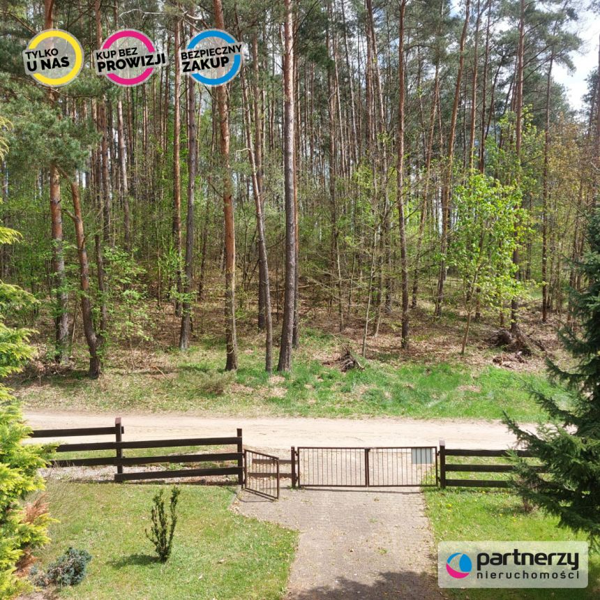Skorzewo, 459 000 zł, 84 m2, ogrzewanie kominkiem miniaturka 2