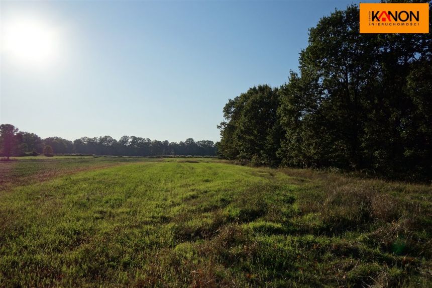 Ochaby Wielkie, 88 000 zł, 62.61 ar, rolna miniaturka 7