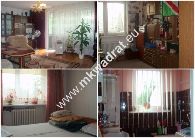 Milanówek, 1 350 000 zł, 250 m2, wysoki standard miniaturka 3