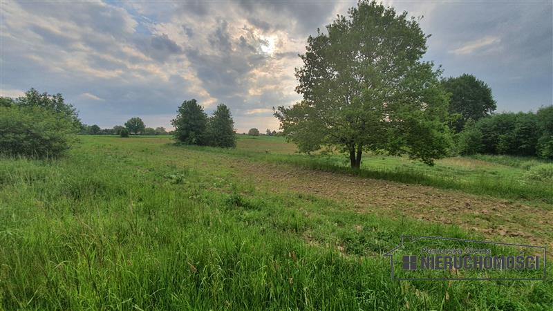 Działka siedliskowa ok. 1 km od Jeziora Pile miniaturka 13