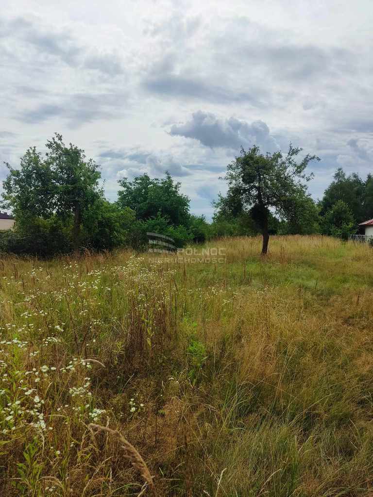 Czyżowice - duża działka budowlana z domem miniaturka 6