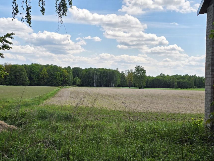 Siedlisko 7,67 ha, Juliopol miniaturka 13