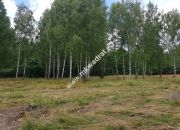 Działka Budy Grzybek 3000 m2 miniaturka 10