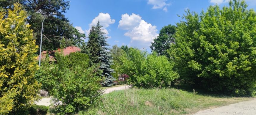 Wiktorów, 690 000 zł, 19 ar, woda w drodze - zdjęcie 1