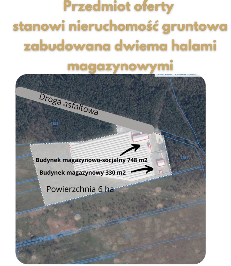 Hala magazynowa lub produkcyjna zachodniopomorskie miniaturka 2