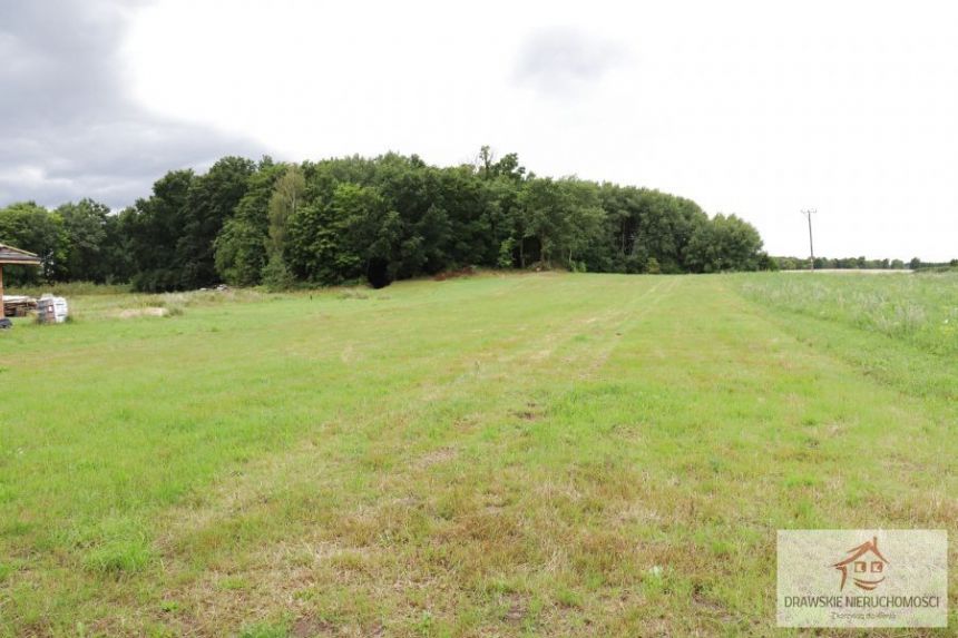 Nętno, 138 000 zł, 31 ar, rolno-budowlana miniaturka 4