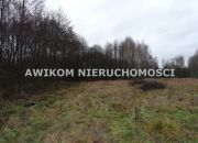 Skierniewice, 138 258 zł, 1.54 ha, droga dojazdowa asfaltowa miniaturka 4