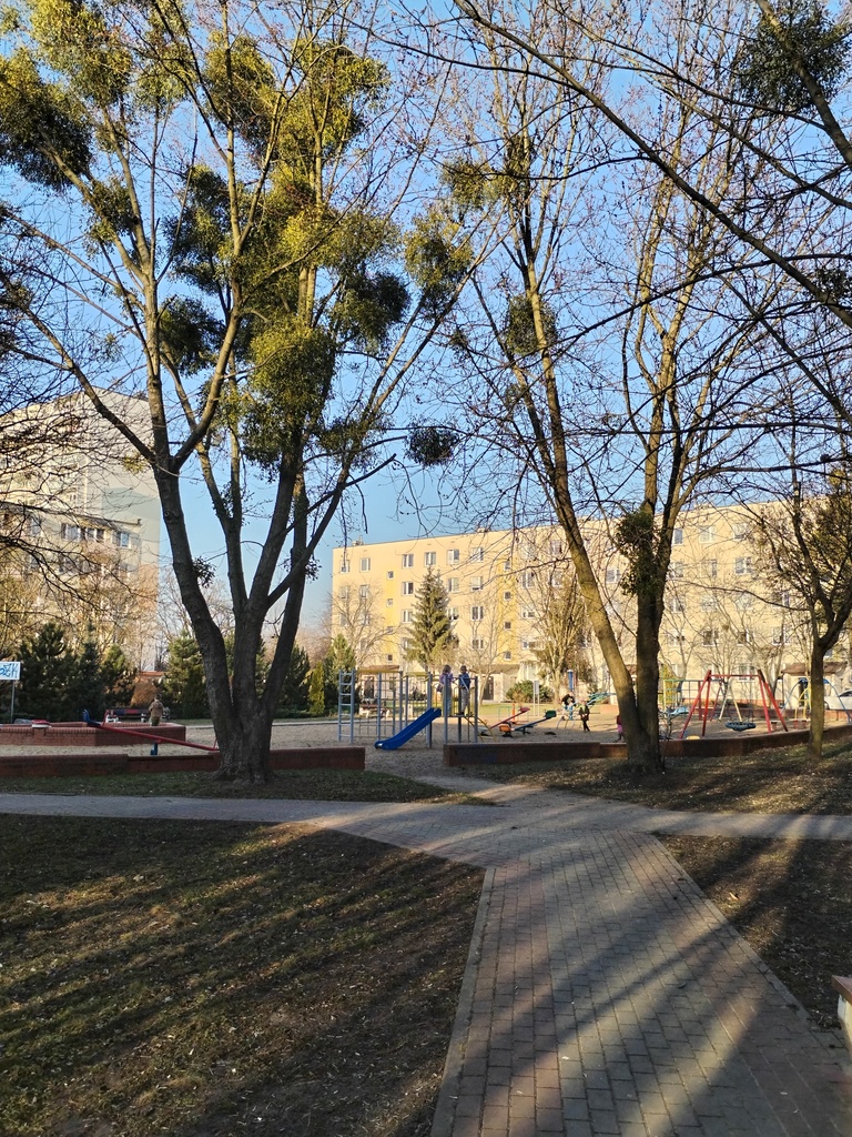3 POKOJE 61M2, PARKING, 2 PIWNICE, SKARPA 2 PIĘTRO miniaturka 10