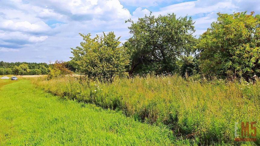 Folwarki Wielkie, 230 000 zł, 49.9 ar, prostokątna miniaturka 4