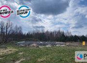 Dziemiany, 170 000 zł, 10.36 ar, droga dojazdowa utwardzona miniaturka 11