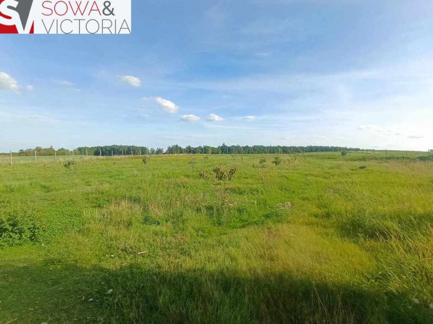 Doskonale skomunikowana działka w Cieszowie. miniaturka 5