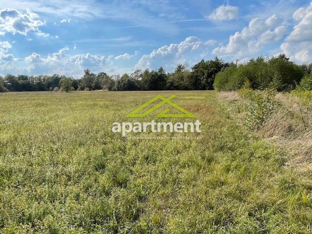 Radgoszcz, 249 000 zł, 5.32 ha, przyłącze wodociągu miniaturka 30