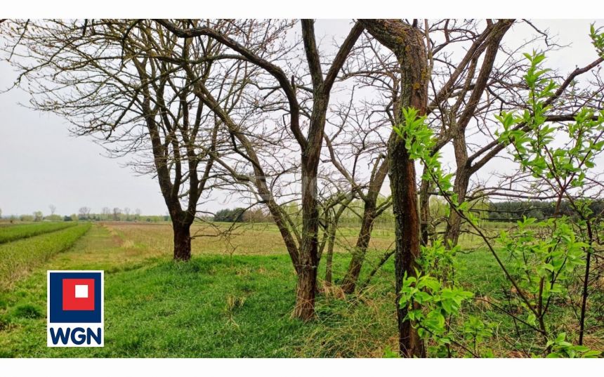 Trzciniec, 140 000 zł, 55 m2, jednorodzinny miniaturka 7