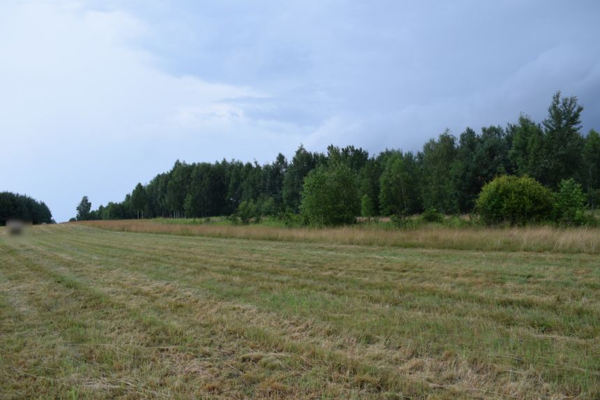 Działka budowlana 39a w Budach Głogowskich miniaturka 3