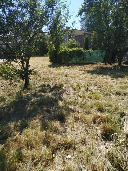 Wymysłów, 360 000 zł, 64 m2, do remontu kapitalnego miniaturka 2