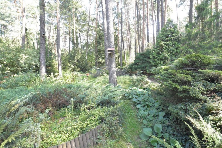 Grotniki, 689 000 zł, 137 m2, jednorodzinny miniaturka 4