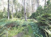 Grotniki, 749 000 zł, 137 m2, jednorodzinny miniaturka 4