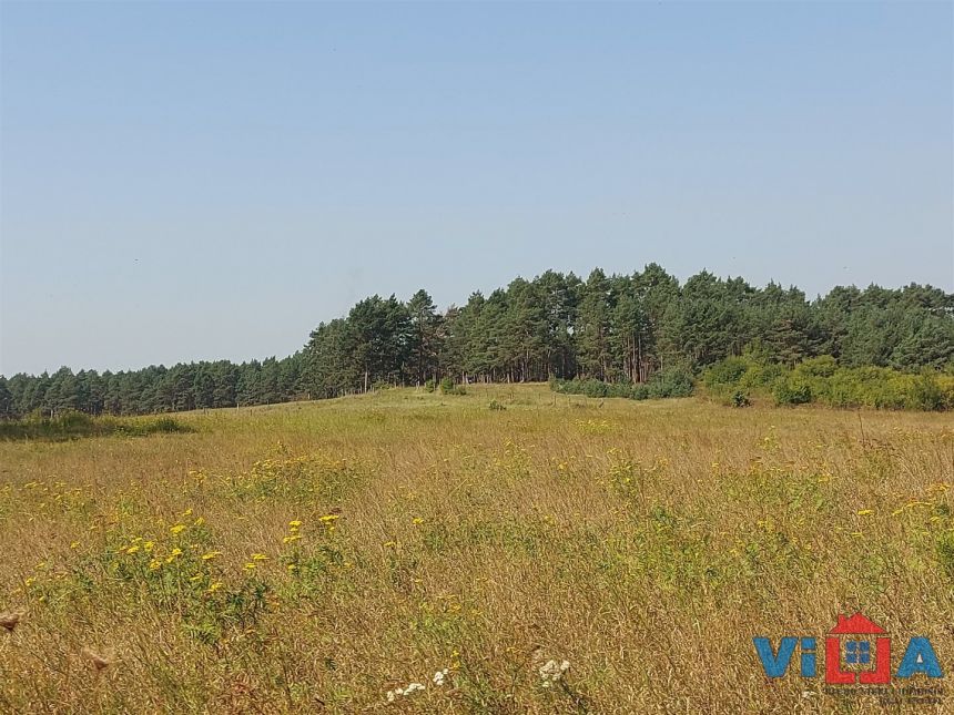 DZIAŁKA Z PRAWEM ZABUDOWY W DĄBROWEJ - zdjęcie 1