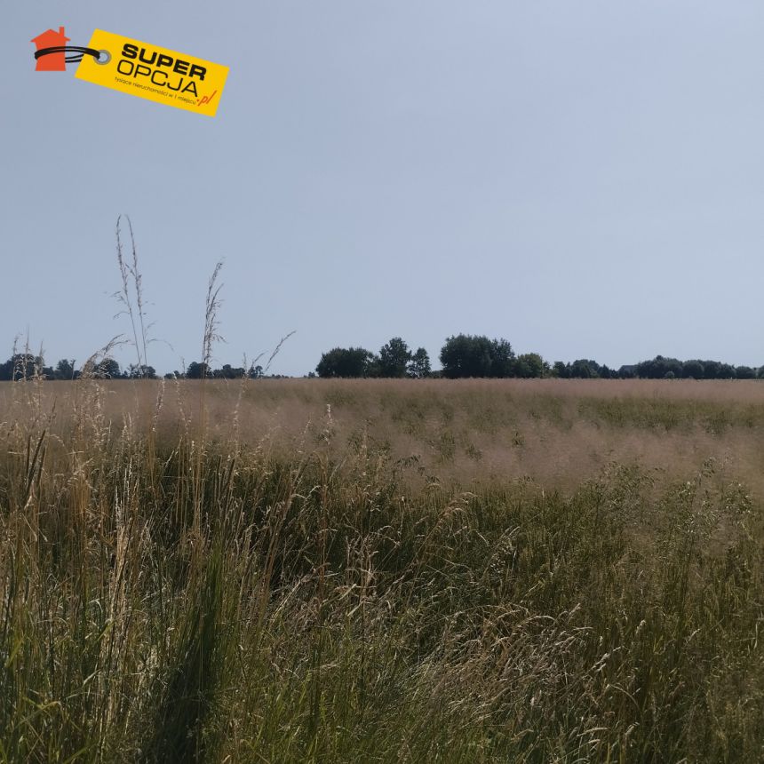 Mogilany, 2 835 000 zł, 64.59 ar, droga dojazdowa utwardzona miniaturka 3