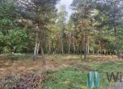 Żabia Wola, 484 000 zł, 12.16 ar, droga dojazdowa utwardzona miniaturka 7