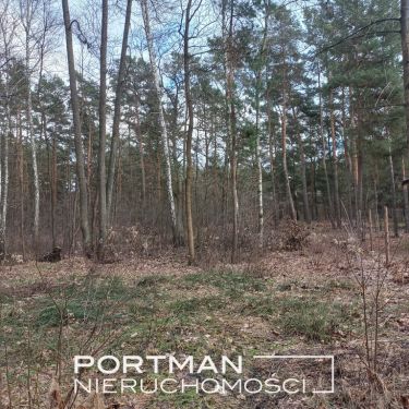 Radość rezydencyjna działka 3050m2 Zbójna Góra