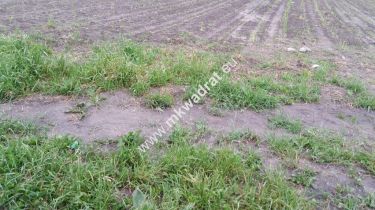 Chrzanów Mały 1500m2