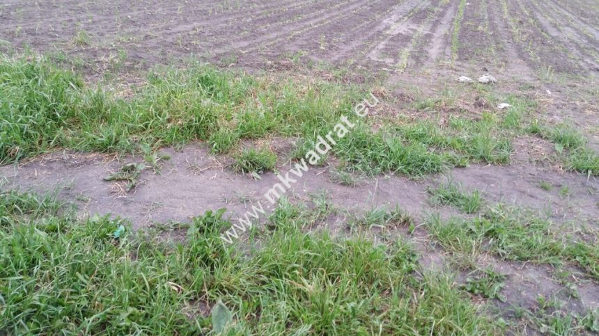 Chrzanów Mały 1500m2 - zdjęcie 1