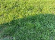 Chłopy, 435 000 zł, 30 ar, przyłącze wodociągu miniaturka 1