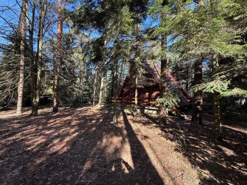 Sokolniki-Las, 429 000 zł, 1890 m2, z drewna miniaturka 3