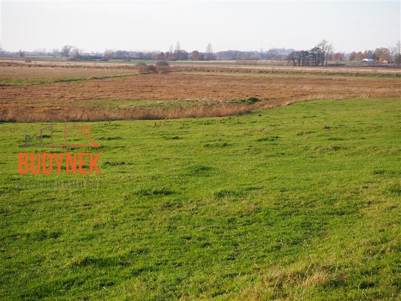 Działka rolna - Krupy miniaturka 3