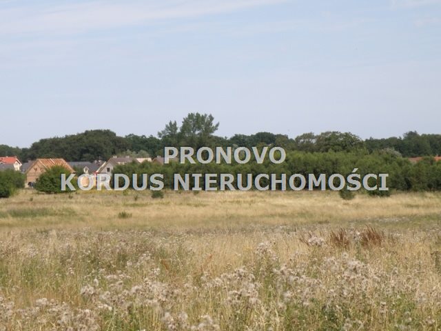 działka pod domy Trzęsacz koło Rewala - zdjęcie 1
